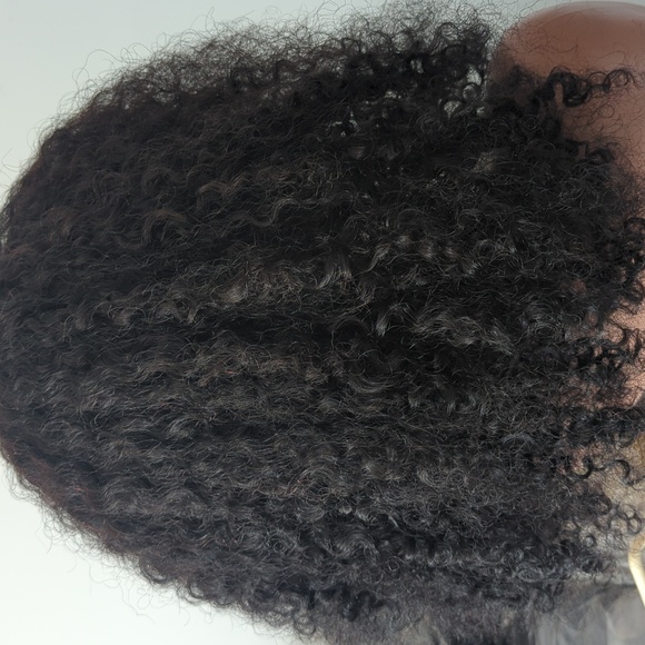 Burmese curling HH - Picture 2 of 5